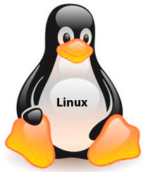GNU/Linux 64 Bit